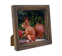 CVHOMEDECO. 6x6 Picture Frame Made of Solid Wood High Definition Glass Rustic Vintage Designs Small Photo Frame for Tabletop Display and Wall Mounting, Distress Brown