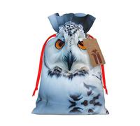 Cvnbmakk Snowy Owl Eyes Christmas Drawstring Gift Bags Large And Medium Non Woven Tote Bags Are Perfect For Holiday Parties