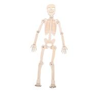 CVUTOVO 1Set Assembling Skeleton Model Kit DIY Unfinished Human Bones Prop for Educational Anatomy Learning for Home and School Use Engaging and Fun Activity