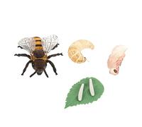 CVUTOVO 1Set Imitation Honey Bee Growth Cycle Models Educational Playthings for Realistic Cycle Simulation for Learning and Biology