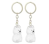 CVUTOVO 2pcs Pet Hair Keepsake Keychain for Cats and Dogs, Abs Memorial Box Convenient Storage and Versatile Use, for Pet Owners to Preserve Cherished Memories