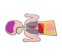CVUTOVO 3Sets DIY Human Organs Model Creative Teaching for Non Woven Enhance Cognitive Skills Imagination Educational Plaything for Interactive