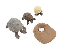 CVUTOVO 4 Pcs Realistic Tortoise Growth Cycle Toy Set, Pvc Educational Life Cycle Ornaments, Exquisitely Made and Sturdy Models for School Educational Projects and Garden Decoration Random Color