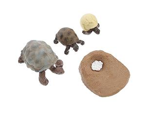 CVUTOVO 4 Pcs Realistic Tortoise Growth Cycle Toy Set, Pvc Educational Life Cycle Ornaments, Exquisitely Made and Sturdy Models for School Educational Projects and Garden Decoration Random Color