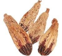 CVUTOVO 4pcs Parrot Chewing Toys Natural Foraging Accessories Bird Shredding Toy Set Healthy Nut Material Cage for Budgie and Small Parrots