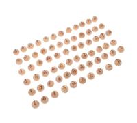 CVUTOVO 75pcs Solid Wood Lottery Ball Carnival Ball Party Raffle Replacement Bingo Accessories Party Supplies Beige