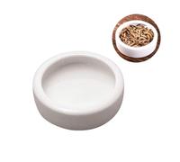CVUTOVO Ceramics Feeder Bowl for Reptiles and Spiders, Anti-escape round Feeding Dish with Floating Design, Delicate Smooth White Food Basin for Fish Tank Use