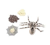CVUTOVO Educational Animal Evolution Model for Animal Growth Cycle Figurines Science Learning Props for Preschoolers Storytelling Imaginative Play and Natural Science Education Party