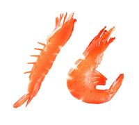 CVUTOVO Lifelike Shrimp Models 2pcs PVC Simulation Prawn Decor for Food Photography Display Props and Educational Use