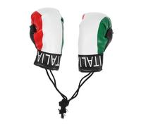 CVUTOVO Mini Boxing Gloves Pendant Keychain Italian Flag Charm for Holiday Ornaments Car Hanging Decoration Unique Boxing Party Favors Eye Catching Sports Enthusiast
