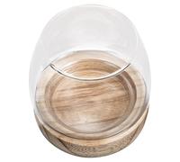 CVUTOVO Small Fish Bowl Glass Micro Landscape Bottle 4.5x4.5x9.5in Glass Wood Multi-functional Smooth Surface Design Home Decoration for Bedroom and Hotel