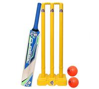 CW Bonzer Small Boys Cricket Set Stumps Bat Ball Cricket Kit for Youth Cricket Kit Full Set Wih Carry Bag Sports kit for All Age Groups