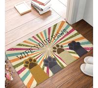 CWCMZDH Funny Wipe Your Paws Front Door Mat Anti-Slip Indoor Absorbent Doormat Floor Bathroom Entrance Rug Carpet