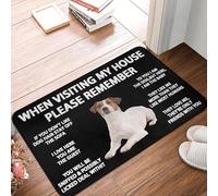 CWCMZDH When visiting my house please remember Dog Quotes 22 Front Door Floor Entrance Mats Outdoor Kitchen Doormat Garden Carpet Rug