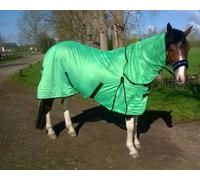 Cwell Equine Bug Away Horse fly rug combo attached neck cover Parrot Green (5'0")