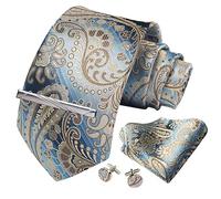CWKOON Paisley Floral Mens Tie Formal Necktie Pocket Squares Ties Clips Cufflinks Classic for Men Set, Beige Blue, One Size
