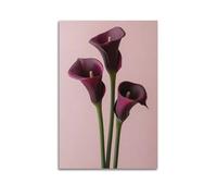 CWLLOG Canvas Prints Wall Art Posters Fresh Realistic Style Deep Purple Calla Lilies Unframe-style Modern Living Room And Bedroom Decor 24x36inch(60x90cm)