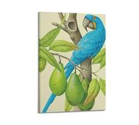 CWLLOG Canvas Prints Wall Art Posters Plant Ecological Illustration of Blue Parrot And Avocado Modern Living Room And Bedroom Artwork Decor 12x18inch(30x45cm)