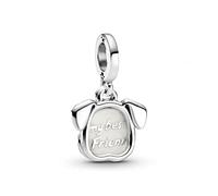 CWOne Designs Sterling Silver Pendant Charm Collection For Bracelet - Authentic S925 Sterling Silver Pendants for Charm Bracelets with Gift Pouch (Dogs Best Friend)