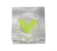 CWOQOCW Water Cooling Indicator G1/4 Thread, Acrylic Flow Meter For PC Liquid Cooling Loop, Transparent Coolant Flow Rate Monitor With Semicircle/Square Design (Green/Red)(C)