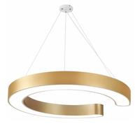 CWVYKNP Vintage Commercial Use Ceiling Pendant Lighting Fixture with Gold Ring Lights Brightness Kitchen Island LED Track Light Fixture for Dining Room Bedroom Sink, 1 Pack