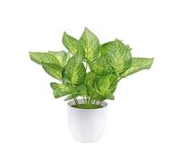 CWZMQK Artificial Plants Artificial Plants Bonsai Small Tree Simulation Pot Turtle Leaf Fake Flowers Table Potted Ornaments Home Decor Hotel Garden Decor Faux Tabletop Greenery