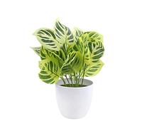 CWZMQK Artificial Plants Artificial Plants Bonsai Small Tree Simulation Pot Turtle Leaf Fake Flowers Table Potted Ornaments Home Decor Hotel Garden Decor Faux Tabletop Greenery