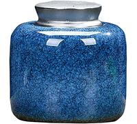 CWZZWS Urns Urns For Ashes Urns For Ashes Adult Ceramic Funeral The Ashes Cans To Preserve The Dignity And Memory Of Your Loved Ones (Blue 2#)