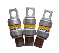 CXDFRSER 2PCS fuse CR2LS-50UL CR2LS-100UL CR2LS-20UL CR2LS-30UL(CR2LS-100UL)