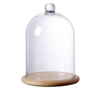 CXGBQSJ Transparent PC Circular Model Cover With Polycarbonate Clarity