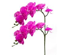 CXGS Artificial Orchid Flower 9 Large Petals Realistic Latex Faux Orchids 2PCS 37in Orchid Stems Fuchsia Fake Phalaenopsis Flower for Wedding Home Arrangement Décor