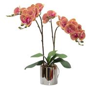 CXGS Artificial Orchid Flower Plant Real Touch Faux Orchids in Ceramic Vase Purple Dapple 19.7'' Fake Phalaenopsis Flower Arrangement Centerpiece Home Indoor Decor
