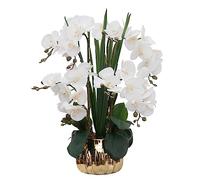 CXGS Artificial Orchid Flower Real Touch Faux Orchids in Ceramic Vase Large 22.9'' Fake Flowers White Phalaenopsis Floral for Home Indoor Decor