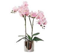 CXGS Artificial Orchid Real Touch Quality Artificial Orchids in Ceramic Vase 50cm Artificial Phalaenopsis Flower Artificial Flower Arrangement for Centerpiece Home Indoor Decoration Pink