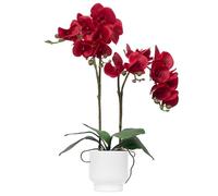 CXGS Orchids Artificial Flowers Real Touch Fake Flowers in Ceramic Pot 20" Red Faux Orchid Plant Lifelike Silk Phalaenopsis for Centerpiece Hotel Home Indoor Decor