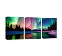 CXHOSTENT 3 Panels Aurora Borealis Canvas Wall Art Colorful Northern Lights Wall Decor Snow Mountain Forest Lakes Pictures Living Room Decor Frame (Aurora Borealis - 3, 60x90cmx3Pcs)