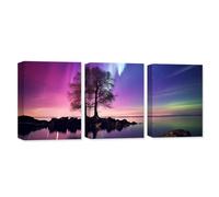 CXHOSTENT 3 Panels Aurora Borealis Canvas Wall Art Colourful Northern Lights Tree Lakes Pictures Print Large Landscape Living Room Decor Frame (Aurora Borealis - 3, 28x35cmx3Pcs)