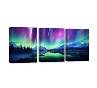 CXHOSTENT 3 Panels Northern Lights Canvas Wall Art Colorful Aurora Borealis Snow Mountain Lake Pictures Print Large Living Room Decor Frame (Aurora Borealis - 2, 60x90cmx3Pcs)