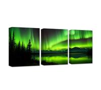 CXHOSTENT 3 Panels Northern Lights Wall Decor Green Aurora Borealis Canvas Wall Art Snow Mountain Pine Trees Lake Pictures Decor Frame (Aurora Borealis - 2, 40x60cmx3Pcs)
