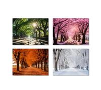 CXHOSTENT 4 Seasons Canvas Wall Art Spring Summer Autumn Winter Four Seasons Picture Prints Colorful Tree Forest Landscape Painting Home Decor Framed (Landscape-2, 30.00 x 40.00 cms x 4PCS)