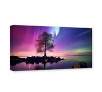 CXHOSTENT Aurora Borealis Canvas Wall Art Colourful Northern Lights Tree Lakes Pictures Print Large Landscape Living Room Decor Frame (Aurora Borealis - 1, 50.00 x 100.00 cms)