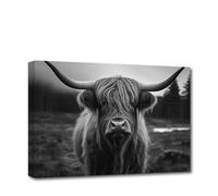 CXHOSTENT Black and White Highland Cow Canvas Wall Art Farm Animal Pictures Wall Decor Longhorn Cattle Painting Farmhouse Decor Frame (Highland Cow - 2, 30.00 x 45.00 cms)
