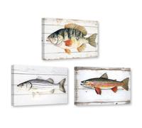 CXHOSTENT Fish Canvas Wall Art Vintage Fishing Decor 3 Pieces Bass Trout Bluegill Pictures Print Midwest Fish Species Poster Home Wall Decor Framed (30x40cmx3)