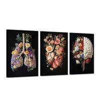 CXHOSTENT Human Anatomy Wall Art Medical Wall Decor Organs Poster 3 PCS Heart Lungs Brain Pictures Botanical Floral Canvas Office Decor Framed (28x35cmx3)