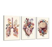 CXHOSTENT Human Anatomy Wall Art Medical Wall Decor Organs Poster 3 PCS Heart Lungs Brain Pictures Botanical Floral Canvas Office Decor Framed (28x35cmx3)