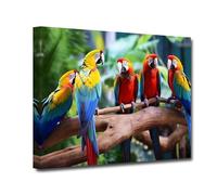 CXHOSTENT Parrot Bird Canvas Wall Art Colorful Parrots on Branch Painting Prints Tropical Rain Forest Animal Poster Bird Picture For Bathroom Decor (Parrot-1, 70.00 x 105.00 cms)