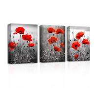 CXHOSTENT Red Poppies Canvas Wall Art 3 Piece Black and White Poppy Flower Picture Prints Red Floral Painting for Bathroom Decor Framed (Poppy-3, 30.00 x 40.00 cms x 3PCS)