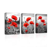 CXHOSTENT Red Poppies Canvas Wall Art 3 Piece Black and White Poppy Flower Picture Prints Red Floral Painting for Bathroom Decor Framed (Poppy-2, 30.00 x 40.00 cms x 3PCS)