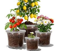 CXIIPOL 12 Pack 4/6/8/10 Inch Clear Nursery Pots for Plants, Large Size Clear Plant Pots with Drainage Holes, Plastic Nursery Pots for Indoor and Outdoor Planting Vegetables, Orchids, Aloe