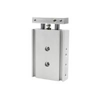 CXSM Series Stainless Steel Dual Rod Double Shaft Pneumatic Air Cylinder 20x10 20x20 20x30 20x40 20x50 20x60 20x70 20x80 20x100(CXSM20-80)